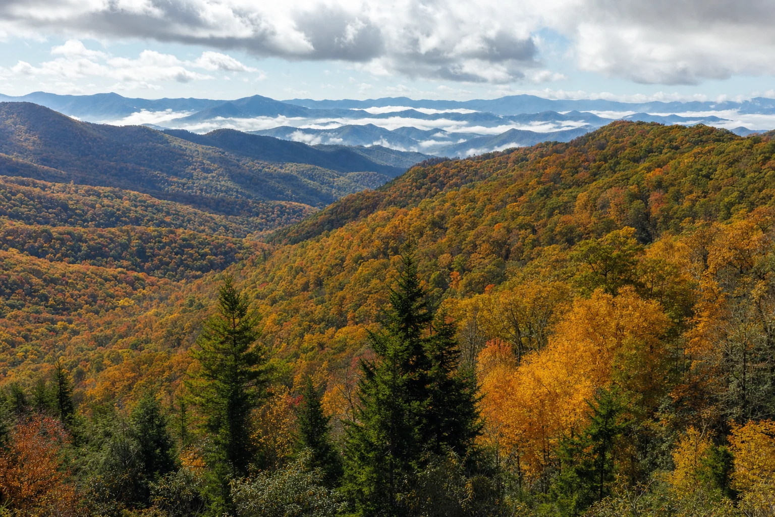 Fall Foliage