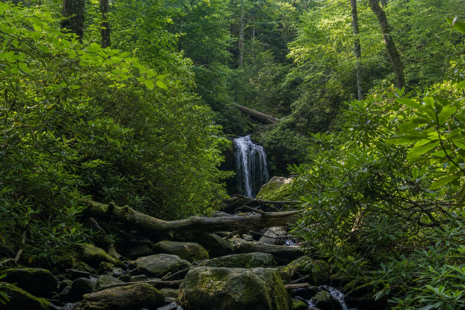 Roaring Fork