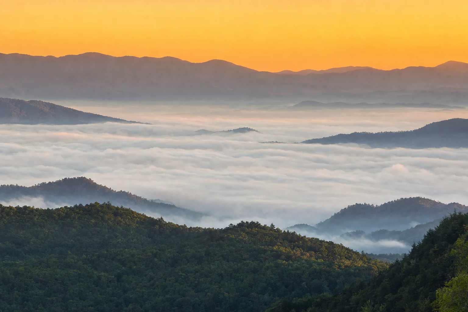 Smokies weather