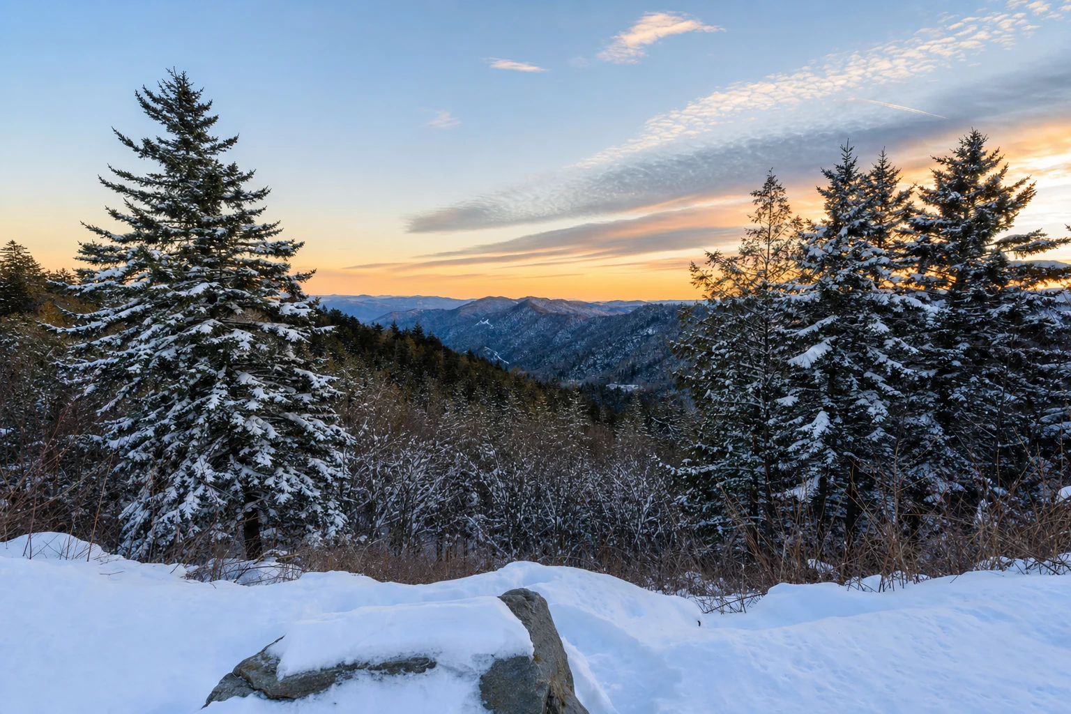 Winter