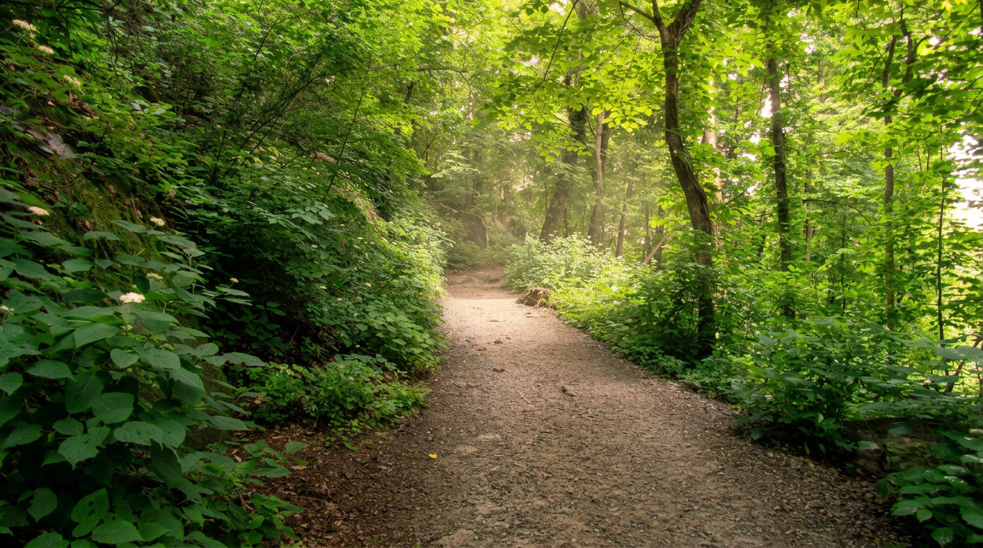 Best Easy Hikes in the Smokies